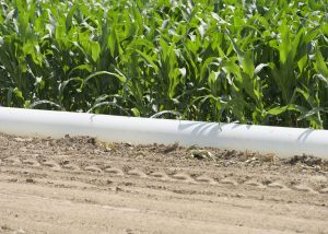 furrow