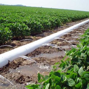 irrigation pipe