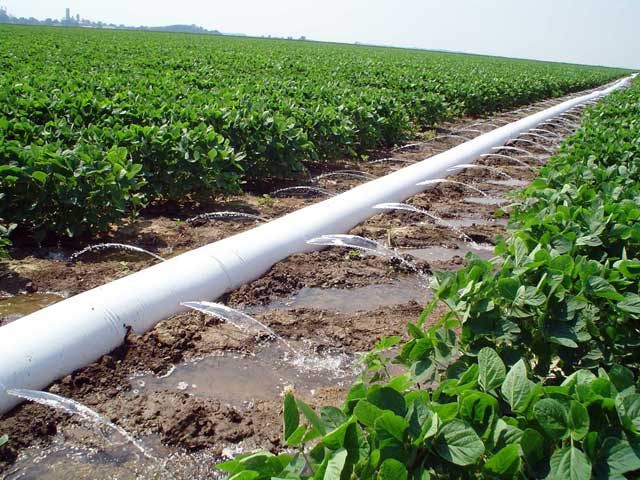 irrigation pipe