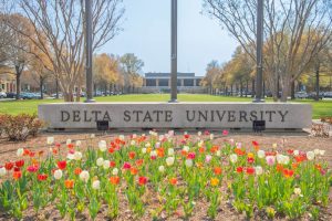 dsu