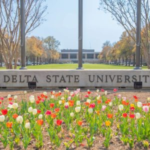 dsu