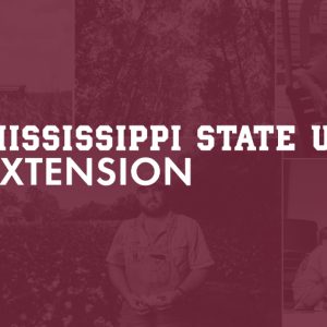 msu ext logo