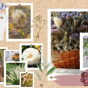 collage