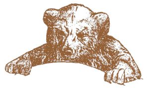 cub