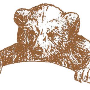 cub