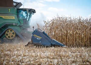 Combine harvest