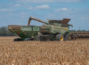 Corn field harvest machine