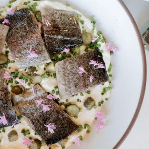 trout dip