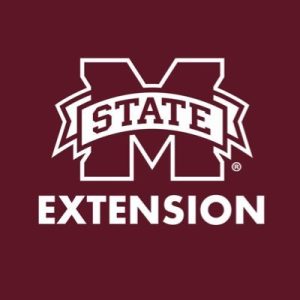 msue logo