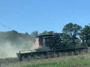 Combine harvest