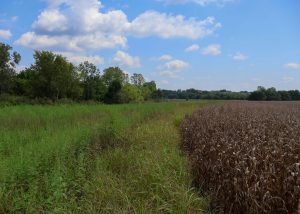 field