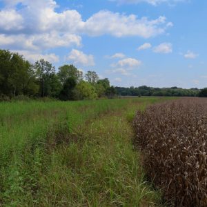field