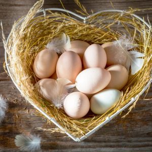 heart shaped egg basket