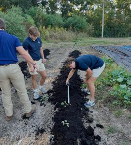 students working garden