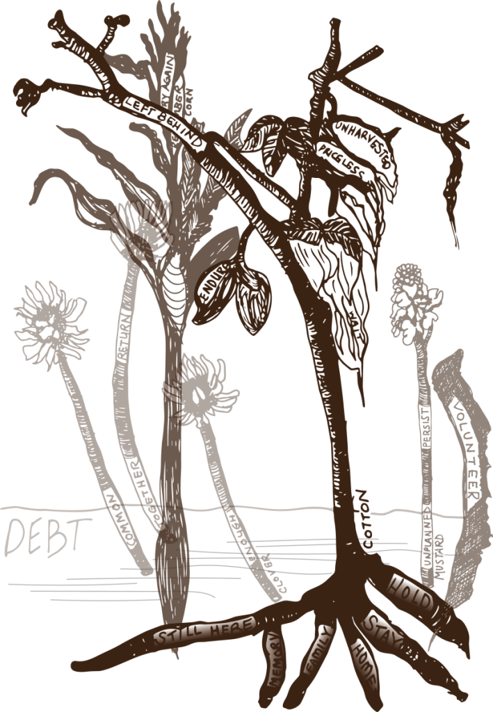 fine art drawing dried plants