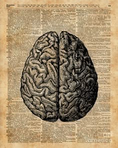 brain illustration