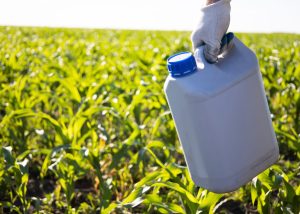A gloved hand holds a canister against a background of corn. 
