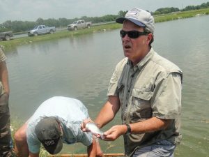 MSU extension agent, catfish