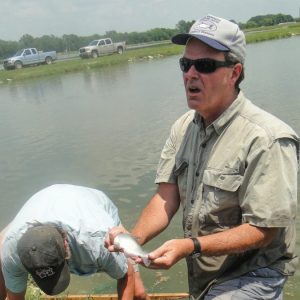 MSU extension agent, catfish