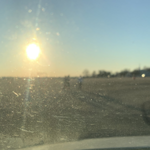 sunlight over a field