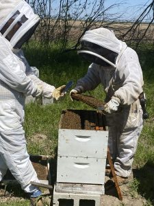 2 keepers at bee hive