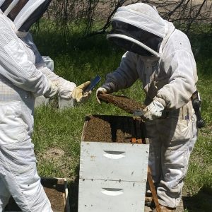 2 keepers at bee hive