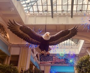 America's bird: the bald eagle, indoor display