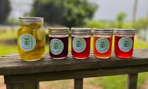 canning jars