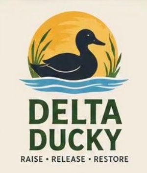 Delta Ducky to bring more ducks back to Deer Creek