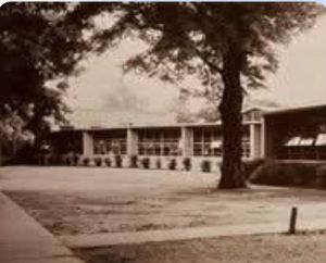 vintage school photo