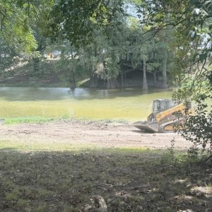 Collapsed henson bridge