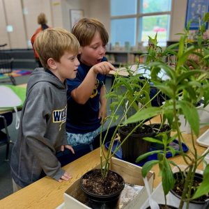 two students observe butterflies