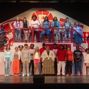 HSM group