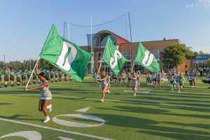 DSU flags