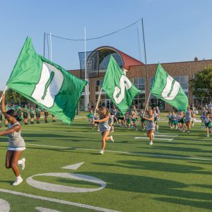 DSU flags