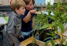 two students observe butterflies