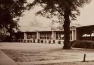 vintage school photo