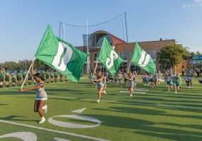 DSU flags