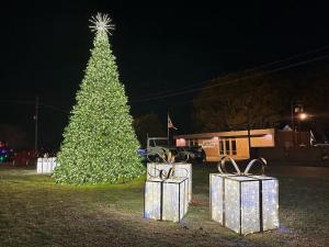 Big-Tree
