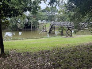Bridge-1