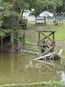 Bridge-2