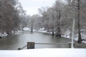 Creek2bylauraduncansullivan